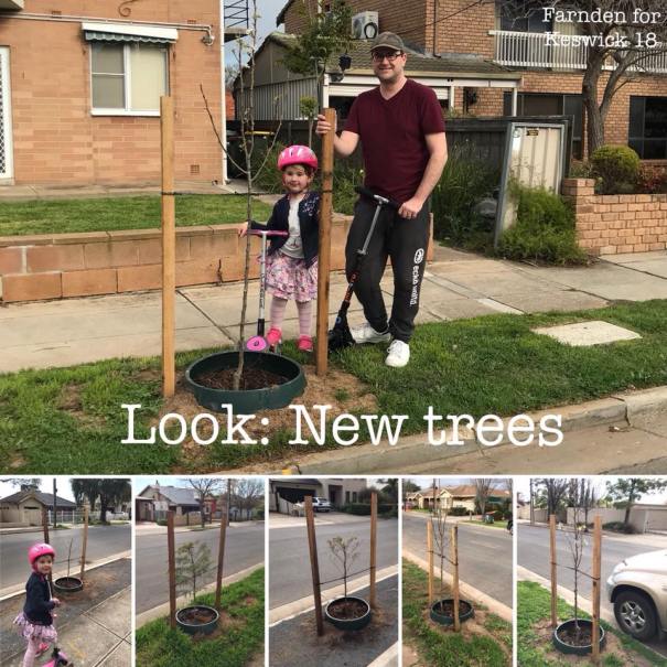 new trees.jpg
